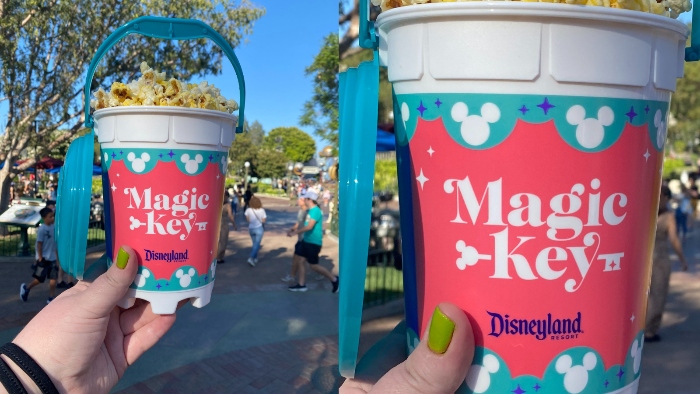 In 2022, Magic Key Holders were able to buy a special souvenir popcorn bucket that they were able to get popcorn refills.