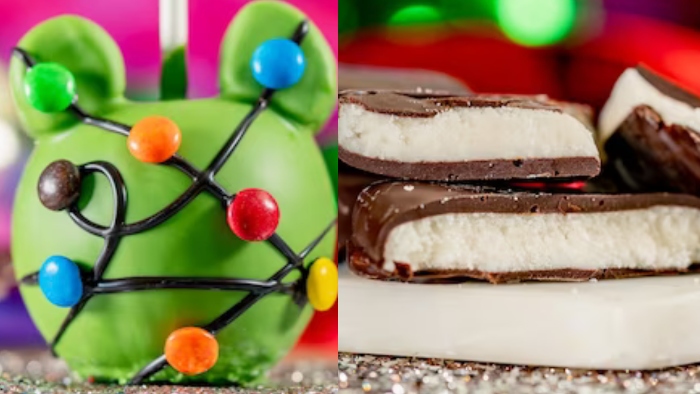 This holiday season, Disneyland is selling so many yummy treats like Mickey Christmas Lights Apple and Peppermint Patties seen in the photo!
